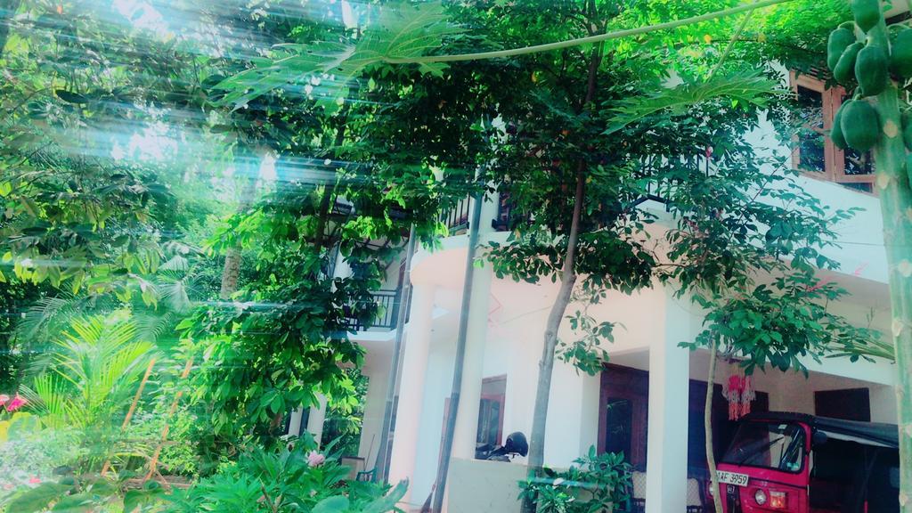 Mount Nature Villa 希克杜沃 外观 照片