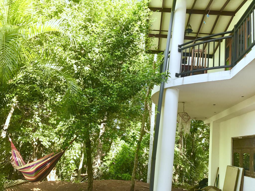 Mount Nature Villa 希克杜沃 外观 照片